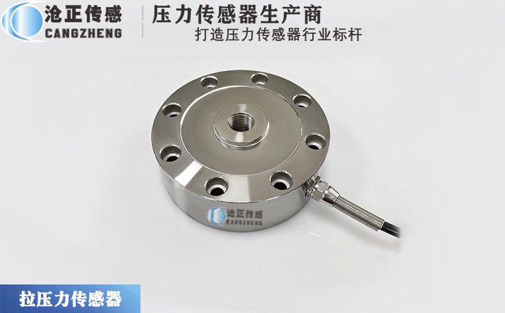 滄正輪輻式拉壓力傳感器CAZF-LY88